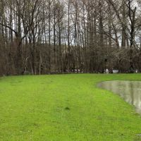 564 ac - Deer &nbsp; Duck Hunting with Camp Site - REDUCED images 4