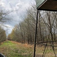 564 ac - Deer &nbsp; Duck Hunting with Camp Site - REDUCED images 5