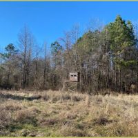 155 Acres in Montgomery County in Duck HIll  MS