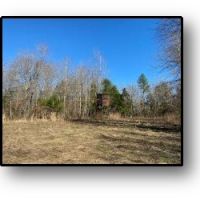 155 Acres in Montgomery County in Duck HIll  MS images 2