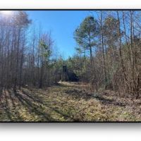 155 Acres in Montgomery County in Duck HIll  MS images 6
