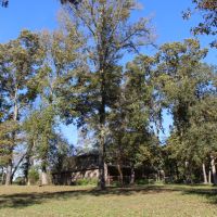 Rocking P Ranch images 3