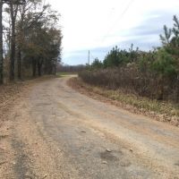 123 Acres in Holmes County in Lexington  MS images 2