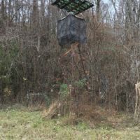 123 Acres in Holmes County in Lexington  MS images 3