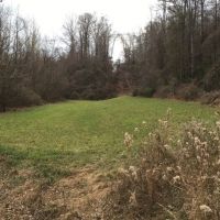 123 Acres in Holmes County in Lexington  MS images 4