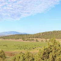 Debaca Ranch images 2