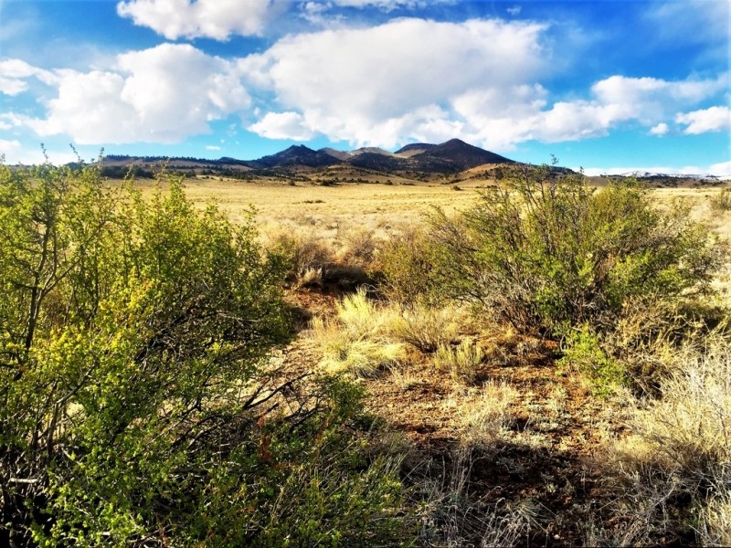 160 Acres in Rio Bravo Ranch featured image