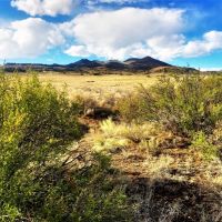 160 Acres in Rio Bravo Ranch