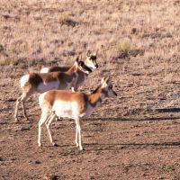160 Acres in Rio Bravo Ranch images 2