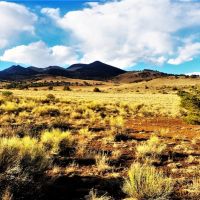 160 Acres in Rio Bravo Ranch images 3
