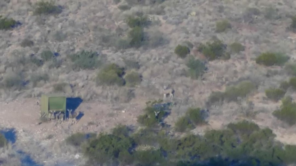 44 acre hunting property featured image