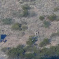 44 acre hunting property