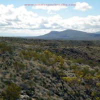 44 acre hunting property images 2