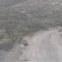 44 acre hunting property images 3