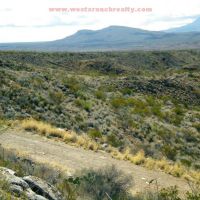 44 acre hunting property images 5