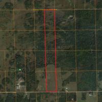 Wisconsin Hunting Land for Sale Wood County 80 Acres