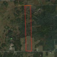 Wisconsin Hunting Land for Sale Wood County 80 Acres images 2