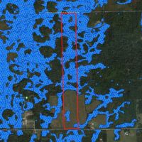 Wisconsin Hunting Land for Sale Wood County 80 Acres images 3