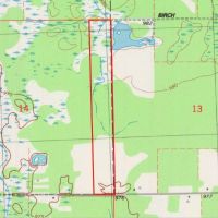 Wisconsin Hunting Land for Sale Wood County 80 Acres images 4