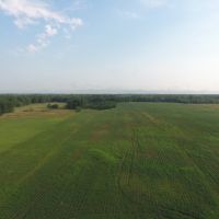 Wisconsin Hunting Land for Sale Wood County 80 Acres images 5