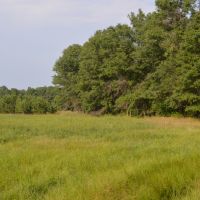 Wisconsin Hunting Land for Sale Wood County 80 Acres images 6