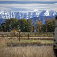 West Gallatin River House images 3