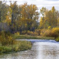 West Gallatin River House images 4