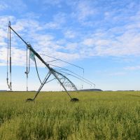 Sunnyfield Farm images 2