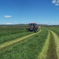 Sunnyfield Farm images 3