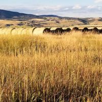 Spaulding Brook Farm images 3