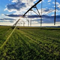 Spaulding Brook Farm images 5