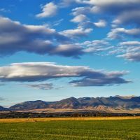 Spaulding Brook Farm images 6