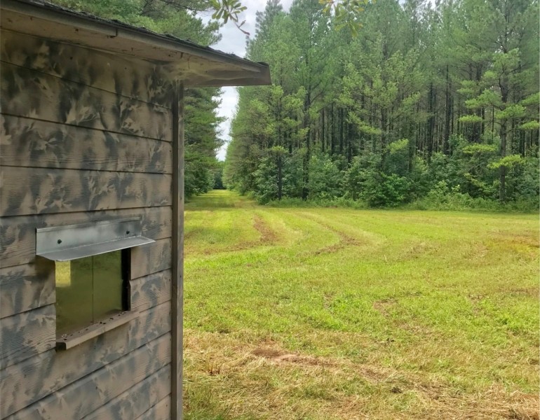 99 Acres in Choctaw County in Ackerman  MS featured image