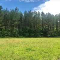 99 Acres in Choctaw County in Ackerman  MS images 2