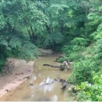 99 Acres in Choctaw County in Ackerman  MS images 4