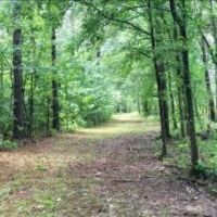 99 Acres in Choctaw County in Ackerman  MS images 5