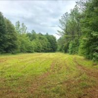 99 Acres in Choctaw County in Ackerman  MS images 6