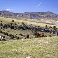 Medicine Ranch images 4