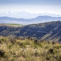 Medicine Ranch images 5
