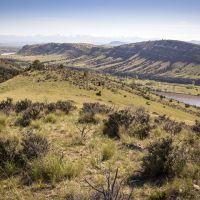 Medicine Ranch images 6
