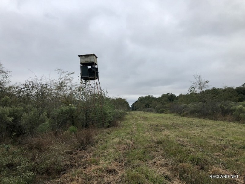 141 ac - WRP Hunting Tract Near Town - PRICE REDUCED featured image