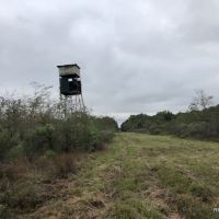 141 ac - WRP Hunting Tract Near Town - PRICE REDUCED