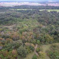 141 ac - WRP Hunting Tract Near Town - PRICE REDUCED images 2
