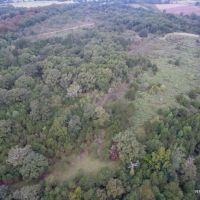 141 ac - WRP Hunting Tract Near Town - PRICE REDUCED images 3