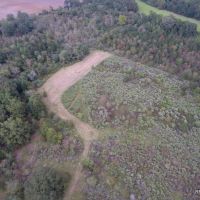 141 ac - WRP Hunting Tract Near Town - PRICE REDUCED images 5