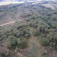 141 ac - WRP Hunting Tract Near Town - PRICE REDUCED images 6