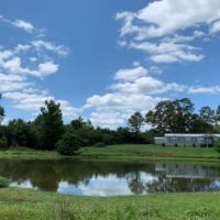50 Acres with a Home in Pike County at 4199 Emerald Stateline Road in Magnolia  MS images 2
