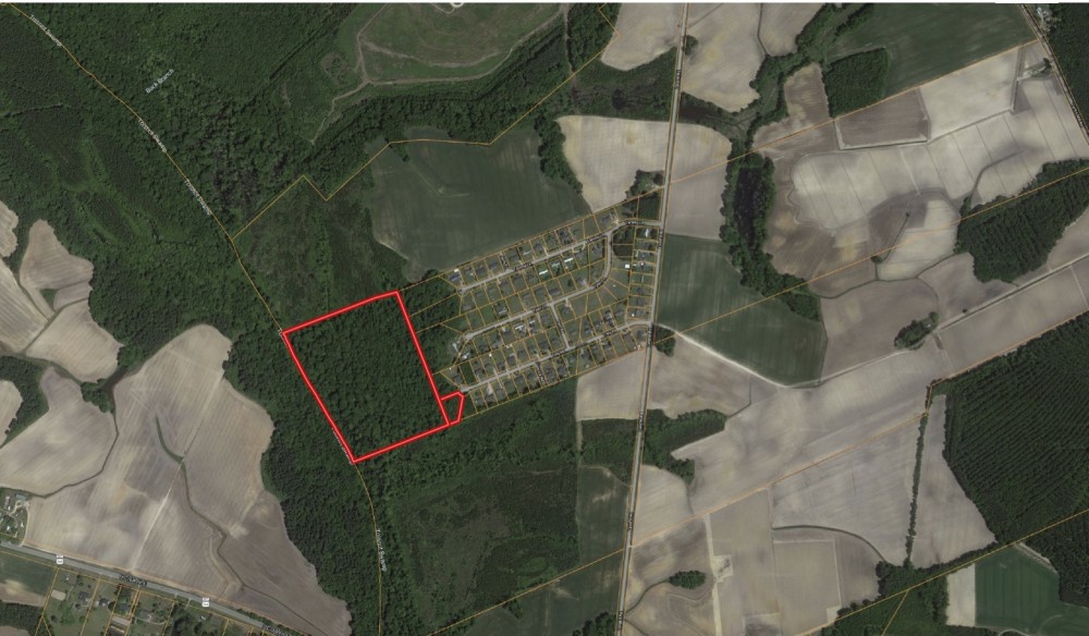 Recreational Timber Tract featured image
