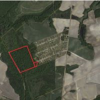 Recreational Timber Tract