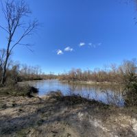 790 Acres in Attala County in Durant  MS